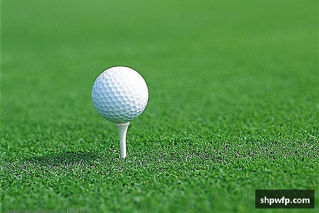 认识score电竞官网